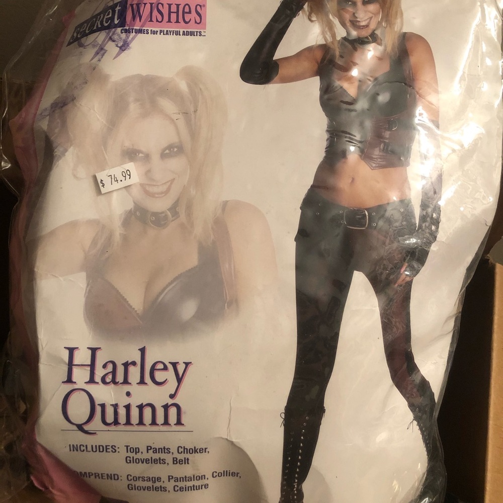 Secret wishes Harley Quinn costume